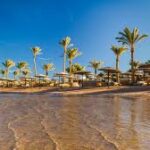 Thérapies non médicamenteuses - Egypte 05/26 (44)