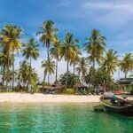 Premières molaires permanentes - Thaïlande 02/27 (12)